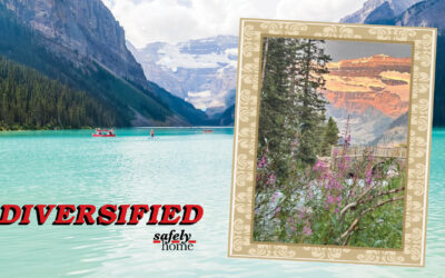 Diversified Operator Takes Gorgeous Early Morning Photo in Banff National Park